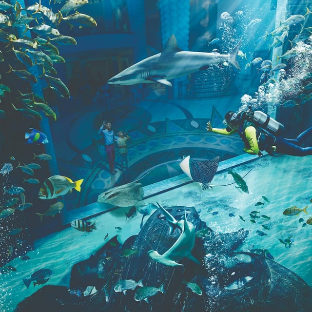the-lost-chambers-aquarium-diving-snorkeling-experiences_1